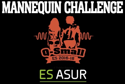 Mannequin Challenge par les ES2 volée 2016-2018 
